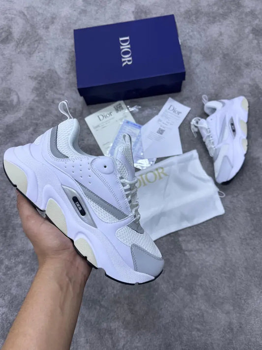 Dior B22 Calfskin & Silver